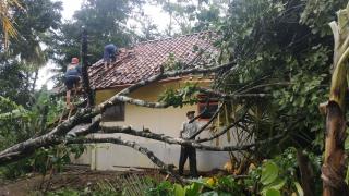 Puting Beliung Terjang Desa Bangun Harja Ciamis, 40 Rumah Rusak